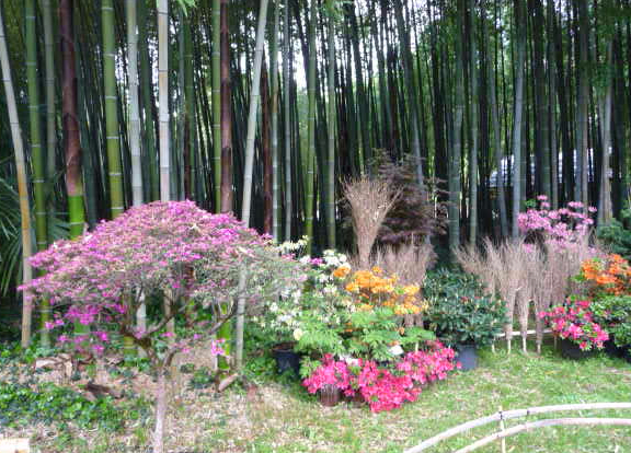 visit bamboo gardens near rental villa
